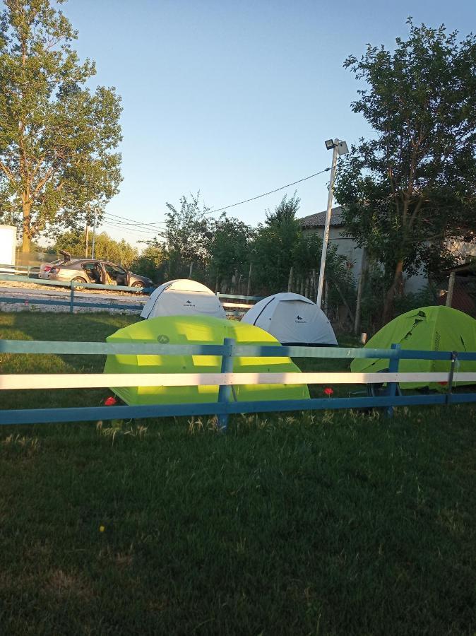 Camping Danubius Tulcea Buitenkant foto